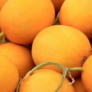 Orange-red Skin Melon Seeds ME-028（2）
