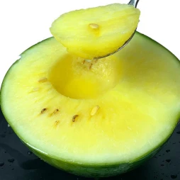 product-254-254