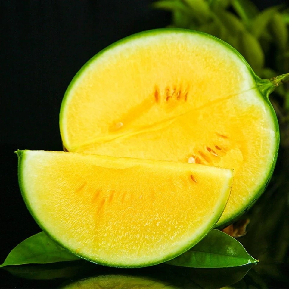 Anguria senza semi verde scuro di forma rotonda WA-T12
